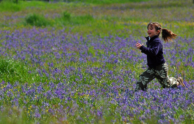 Exhilaration!