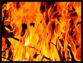 Midnight bonfire to welcome spring