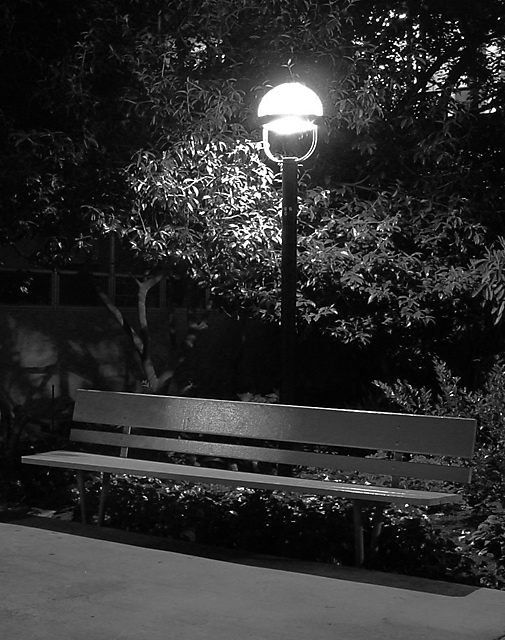 Empty Bench