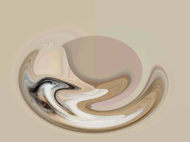 The Eye