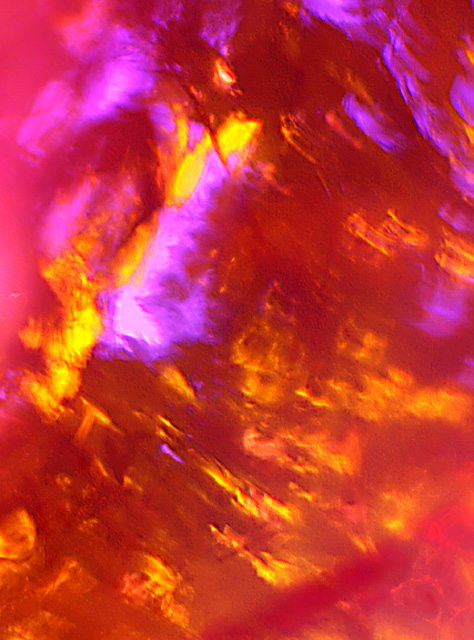 Fever Dream