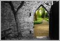 Secret Garden