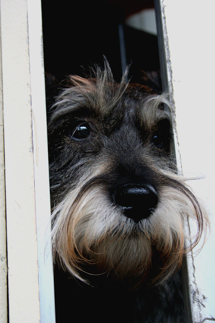 While I'm outside looking in, he's inside looking out.