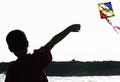 Go Fly A Triangle Kite...