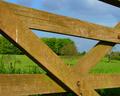 Framed by the old farm gate