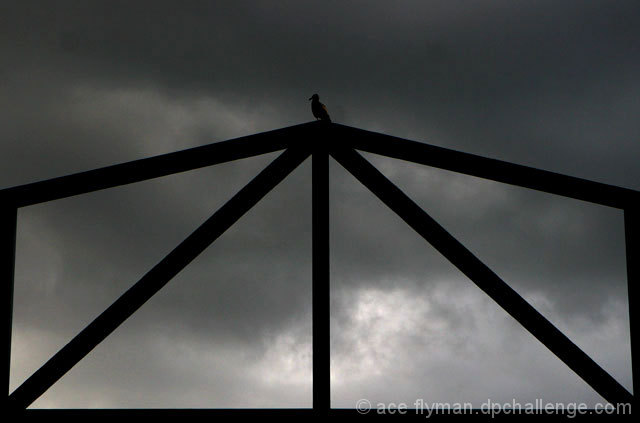 Watching the Storm Roll In