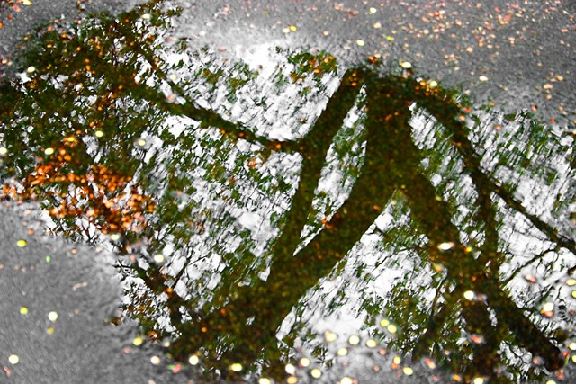 Triangle Tree