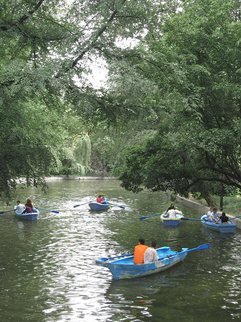 Five Blue Boats