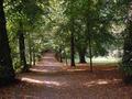 Hampstead Heath Trail