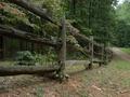 Rail Fence