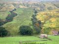 Yorkshire Dales Hillside