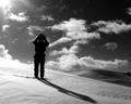In the Artic Morning