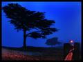 Before Sunrise