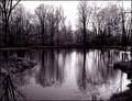 Backwoods Pond