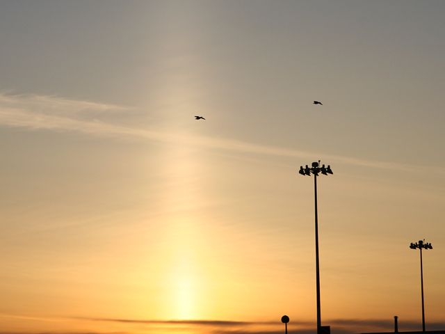 Silhouettes:  Lights, Nature VS Man