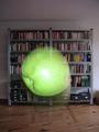 In Newton&acute;s study