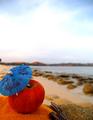 Beach Apple