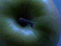 An Apple A Day