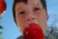 Bobbin' for Apples
