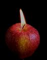 Real Apple Candle !