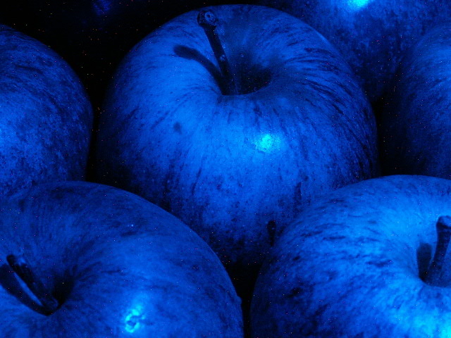 Apples in blue