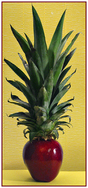 Pineapple