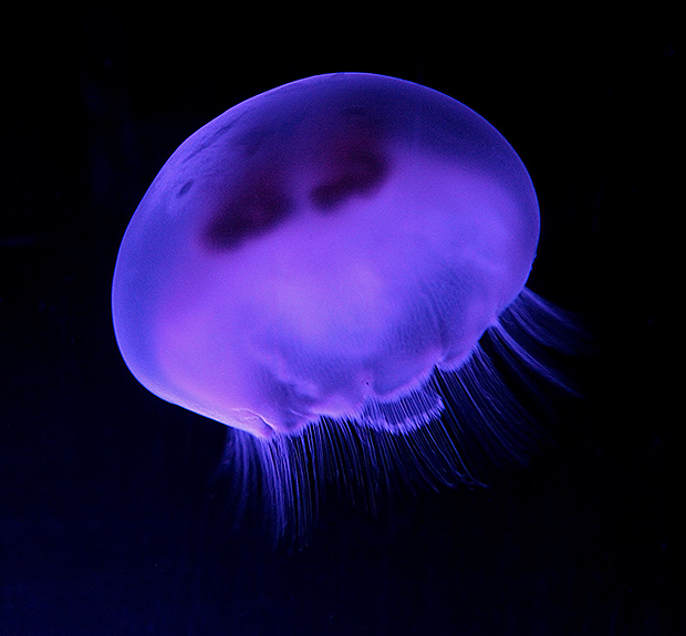 Glowing Depth