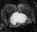 Salt Of The Earth