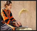 Cleaning the wheat from husks