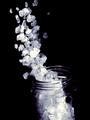 sea salt