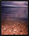 Pebbly Shore