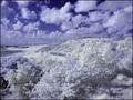 The World In Infrared.