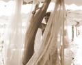 Silk and beyond