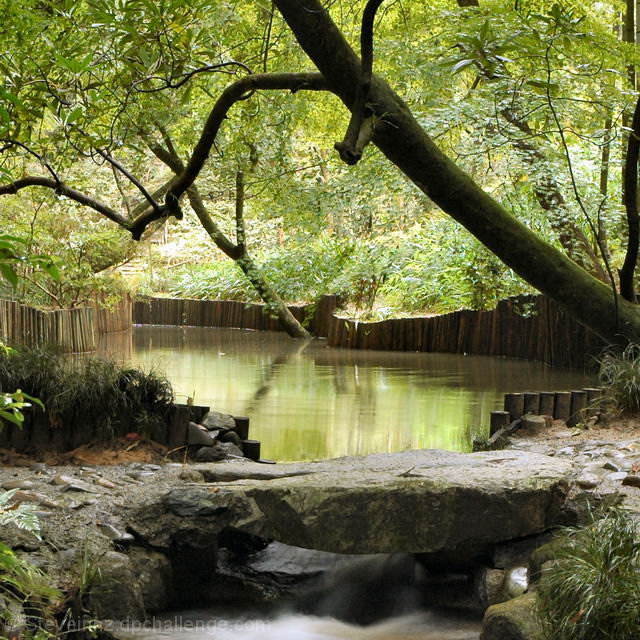 Tranquil and Secluded (one of those places the camera cannot do justice)