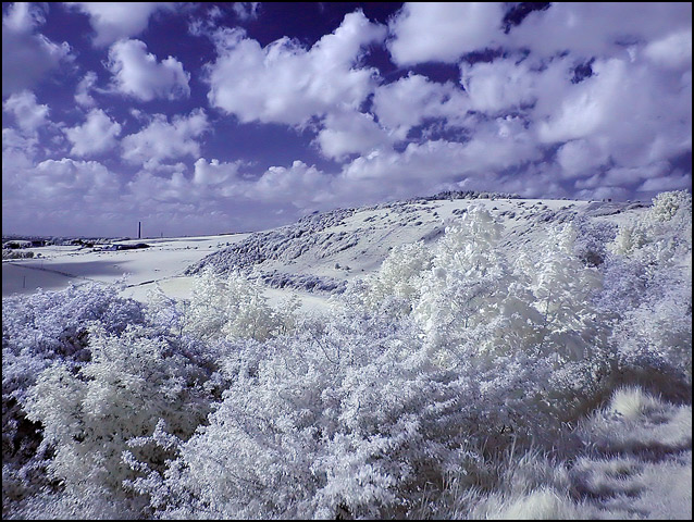The World In Infrared.