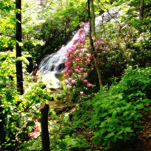 Crabtree Falls