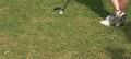 Honors On The 1st Tee-Box