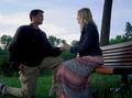 The Proposal