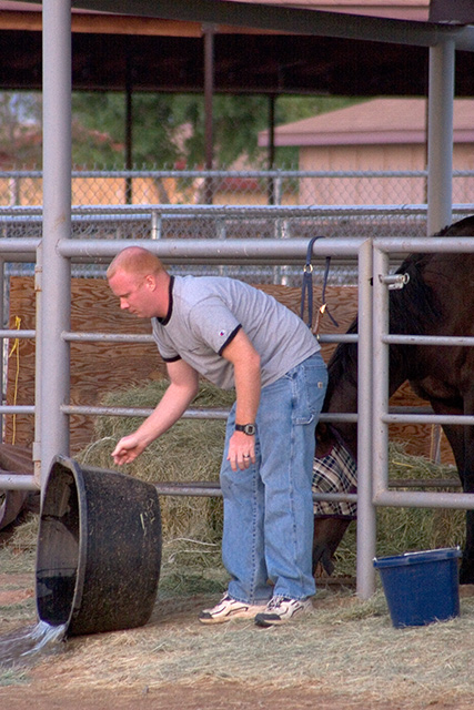 Barn Chores