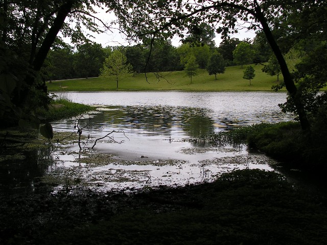 Framed Inlet