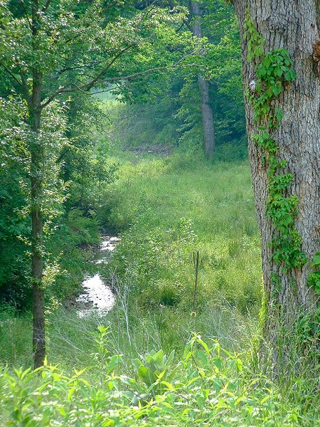 Hidden Creek