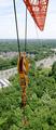 Crane-ial Nerve