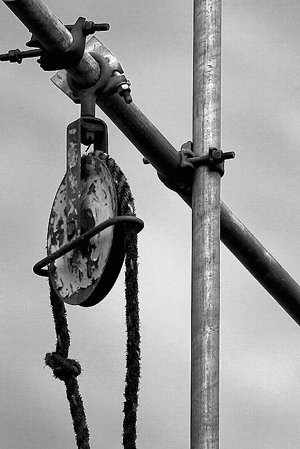 The Hanging Tree