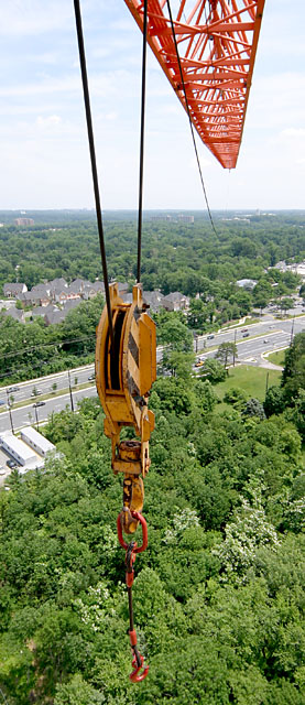 Crane-ial Nerve