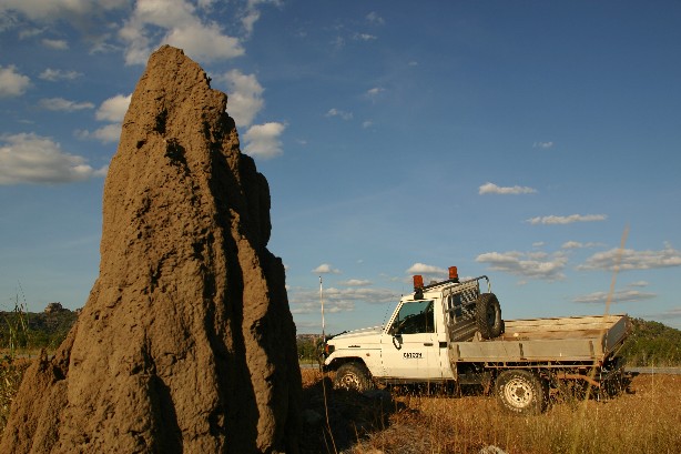 Natural Construction - Ant Hill and my ute. Kakadu.