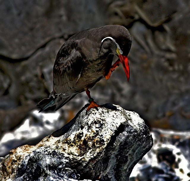 Balancing Act