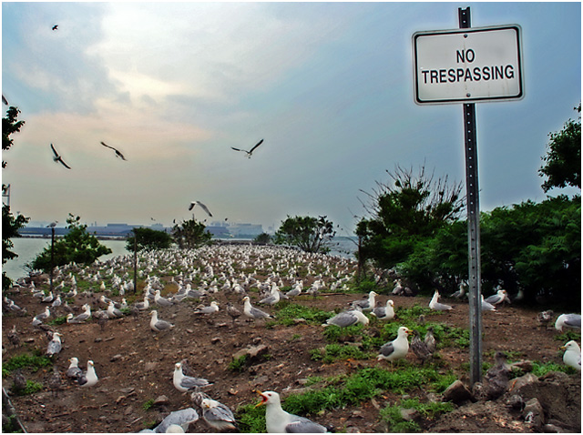 Hey Buddy, No Trespassing!