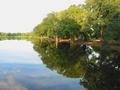 Lake Reflections