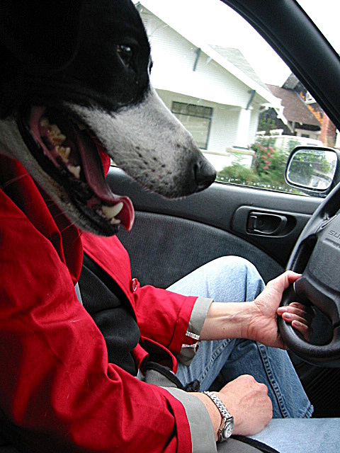 Reflections on driving.