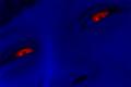 I was just a photographer before I was attacked by a Succubus!